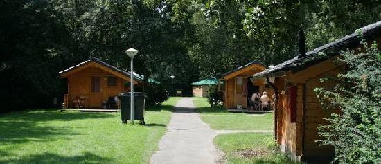 camping-hostel-amsterdamse